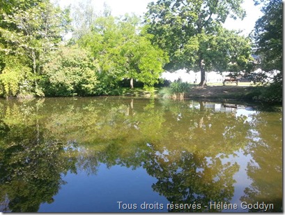 lac des ibis_le vésinet_Paris
